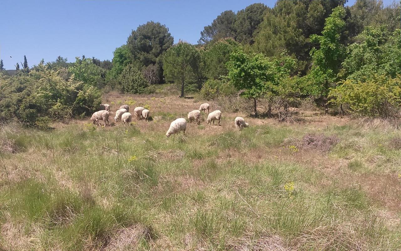 Une Chambre En Luberon Puyvert Luaran gambar